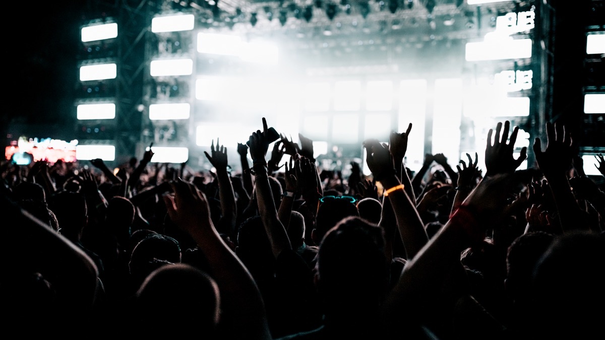 A crowd of people at the music festival