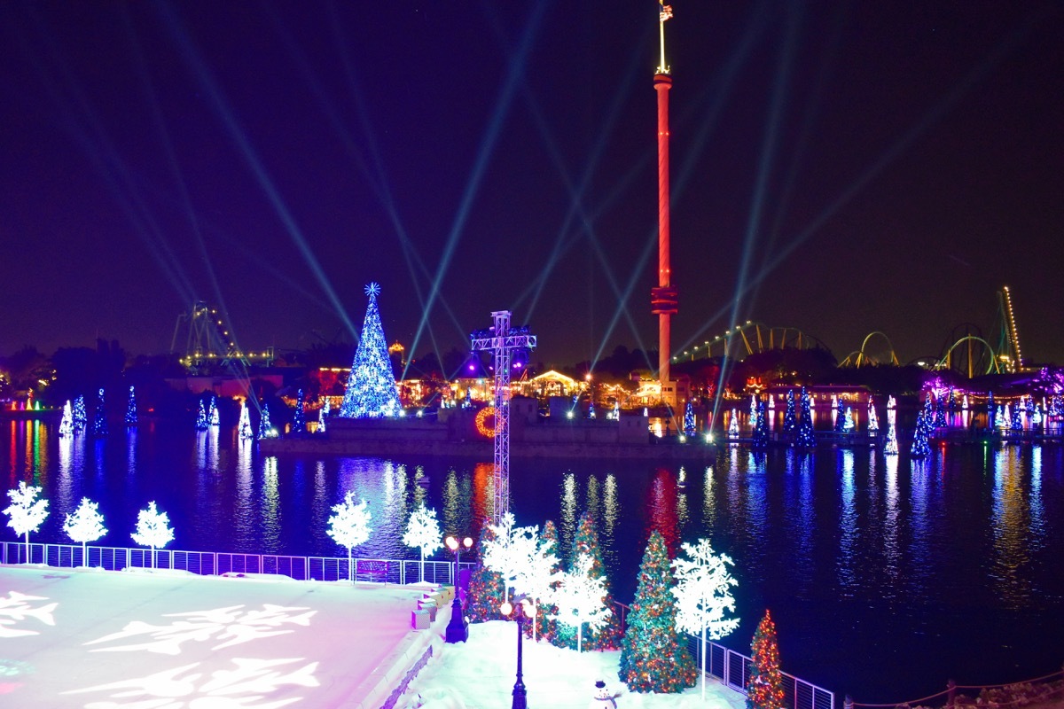 disney world decorated for christmas