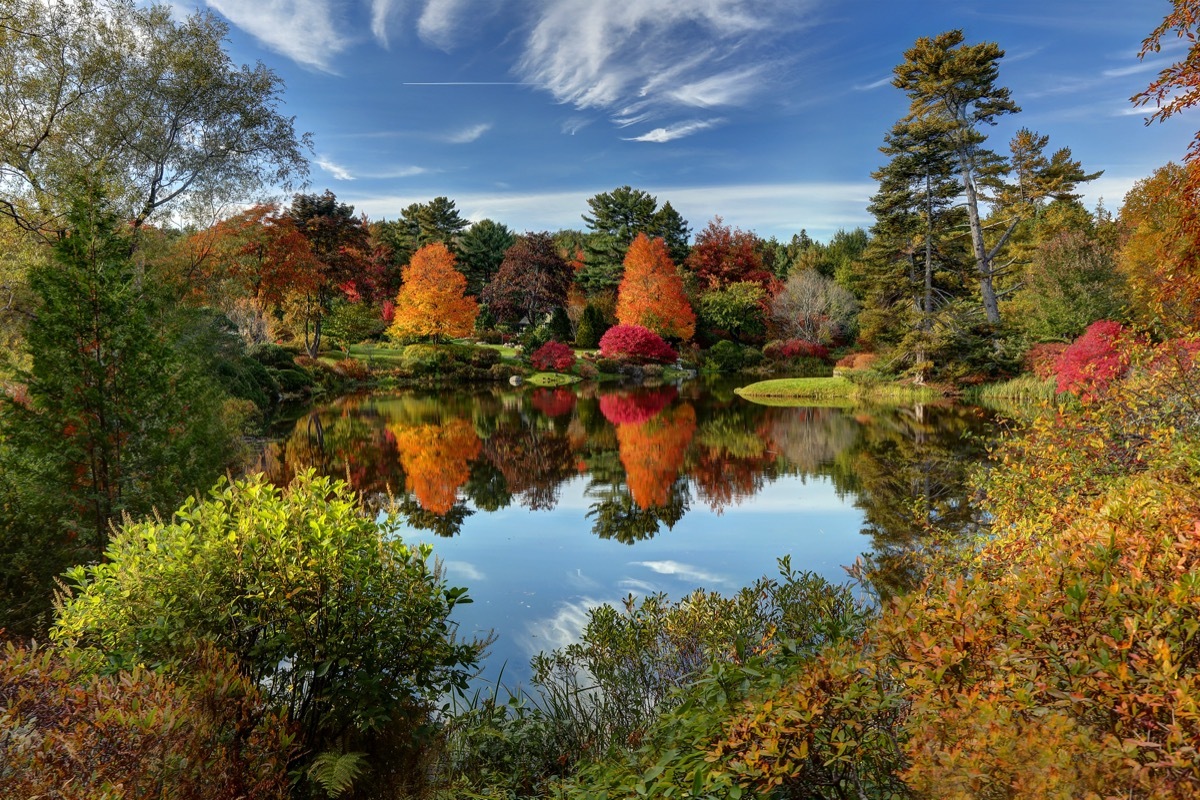 asticou azalea garden in the fall with a reflection on the pond