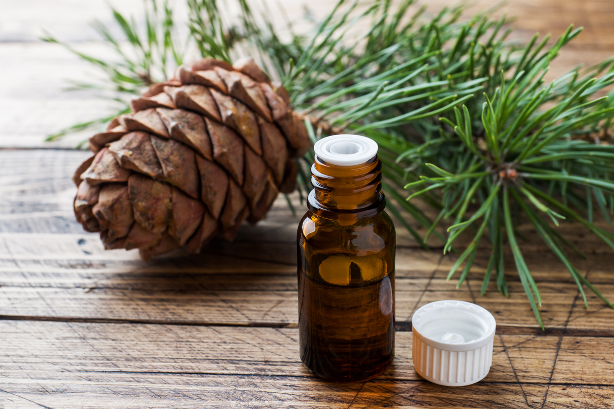 Cedar and spruce essential oil in small glass bottles on wooden background.