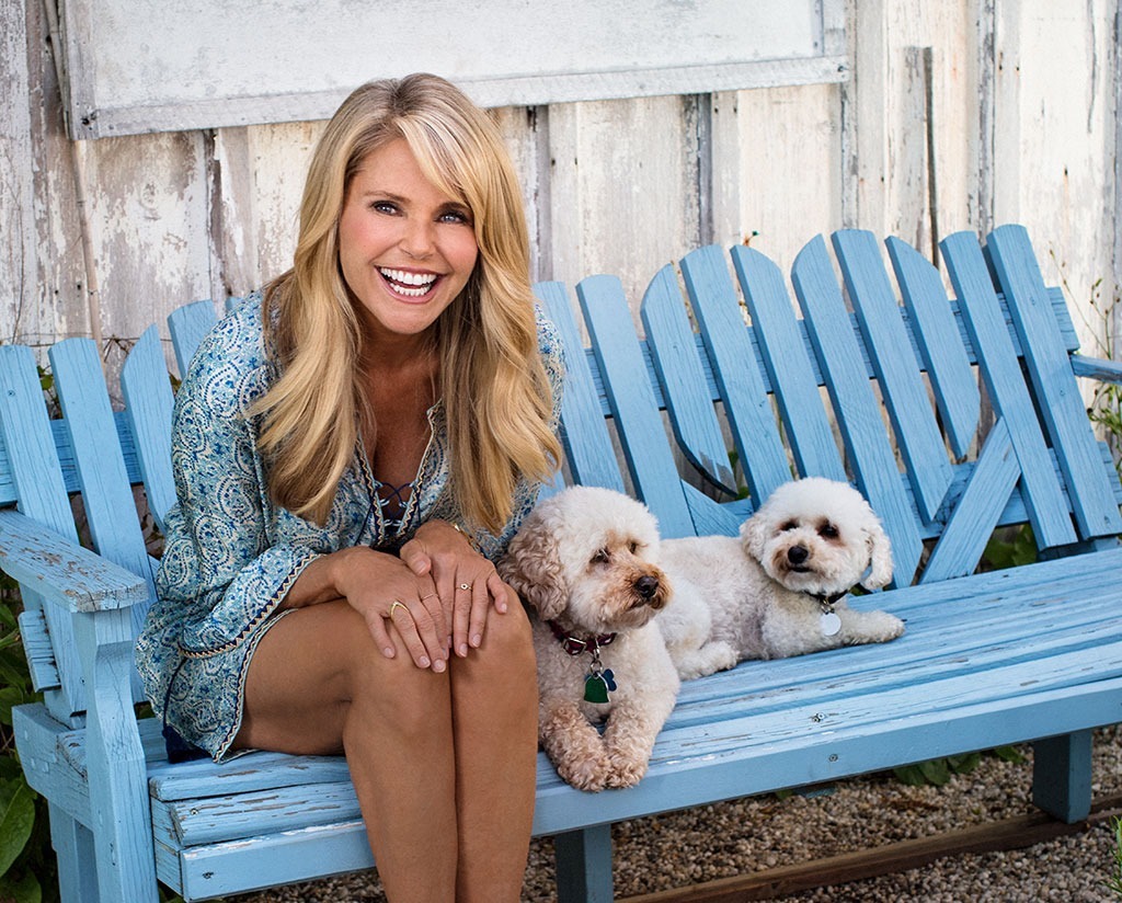 christie brinkley dogs