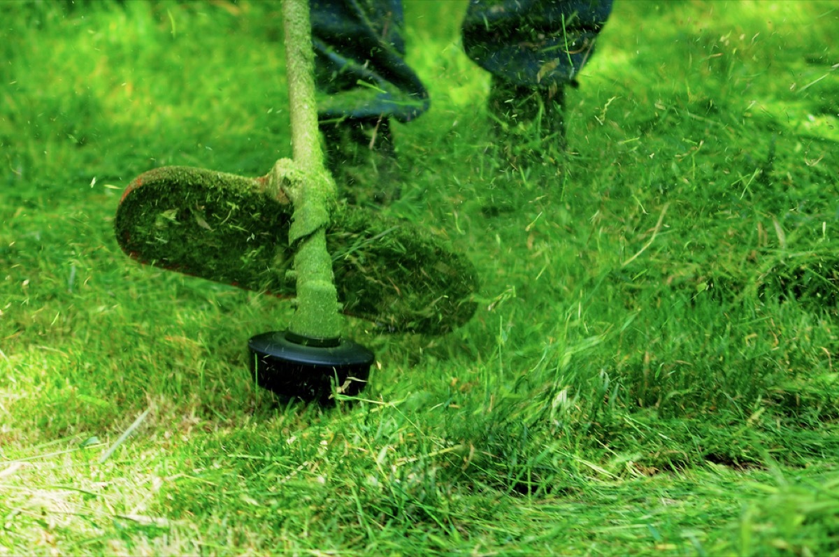 person cutting grass with weed whacker, backyard dangers