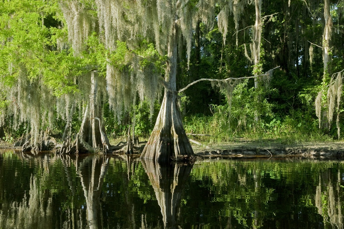 everglades national park