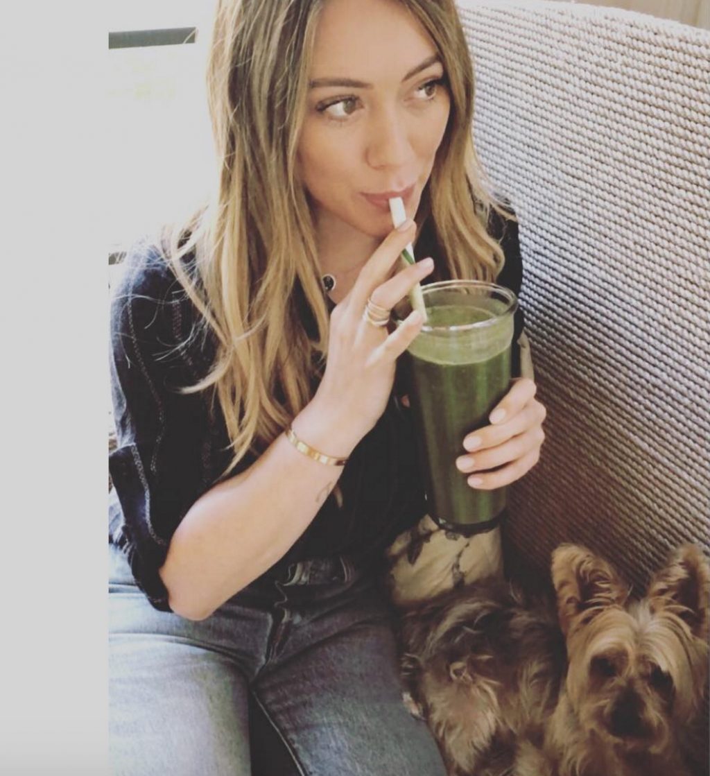 Hilary Duff celebrities who look like their pets