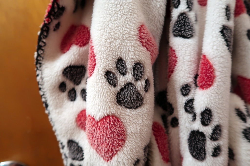 paw print blanket