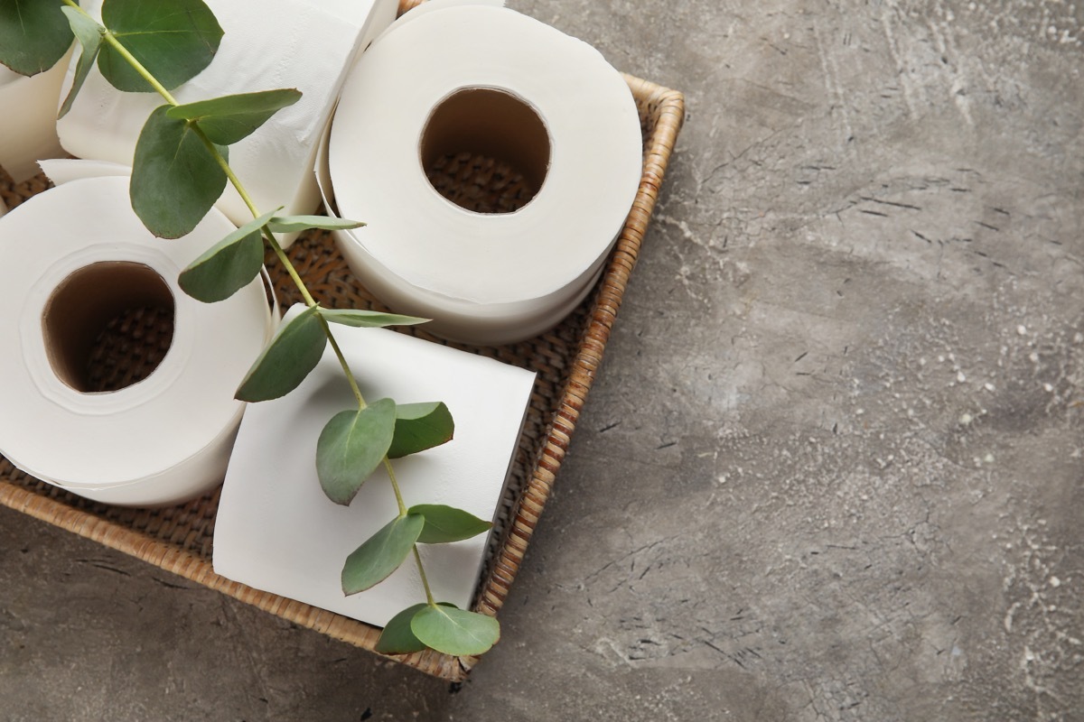 Basket with rolls of toilet paper and eucalyptus branch on grunge background