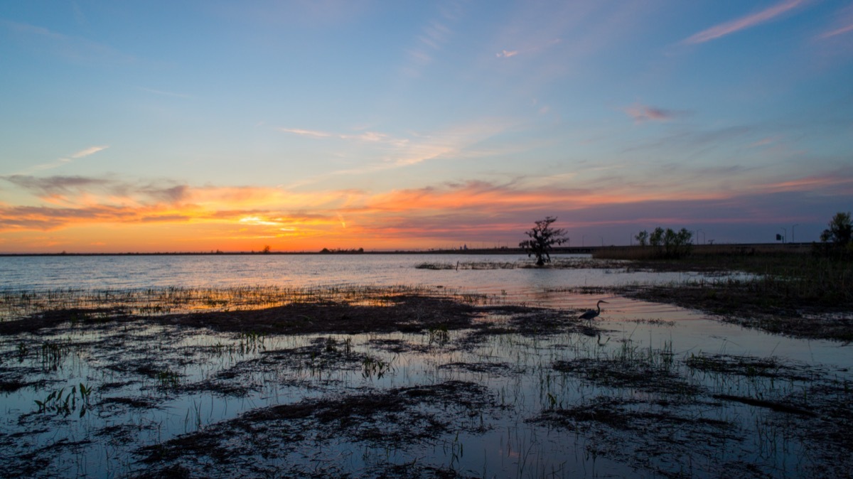 Blue Heron lake in Mobile, Alabama, which is near Highland Lakes