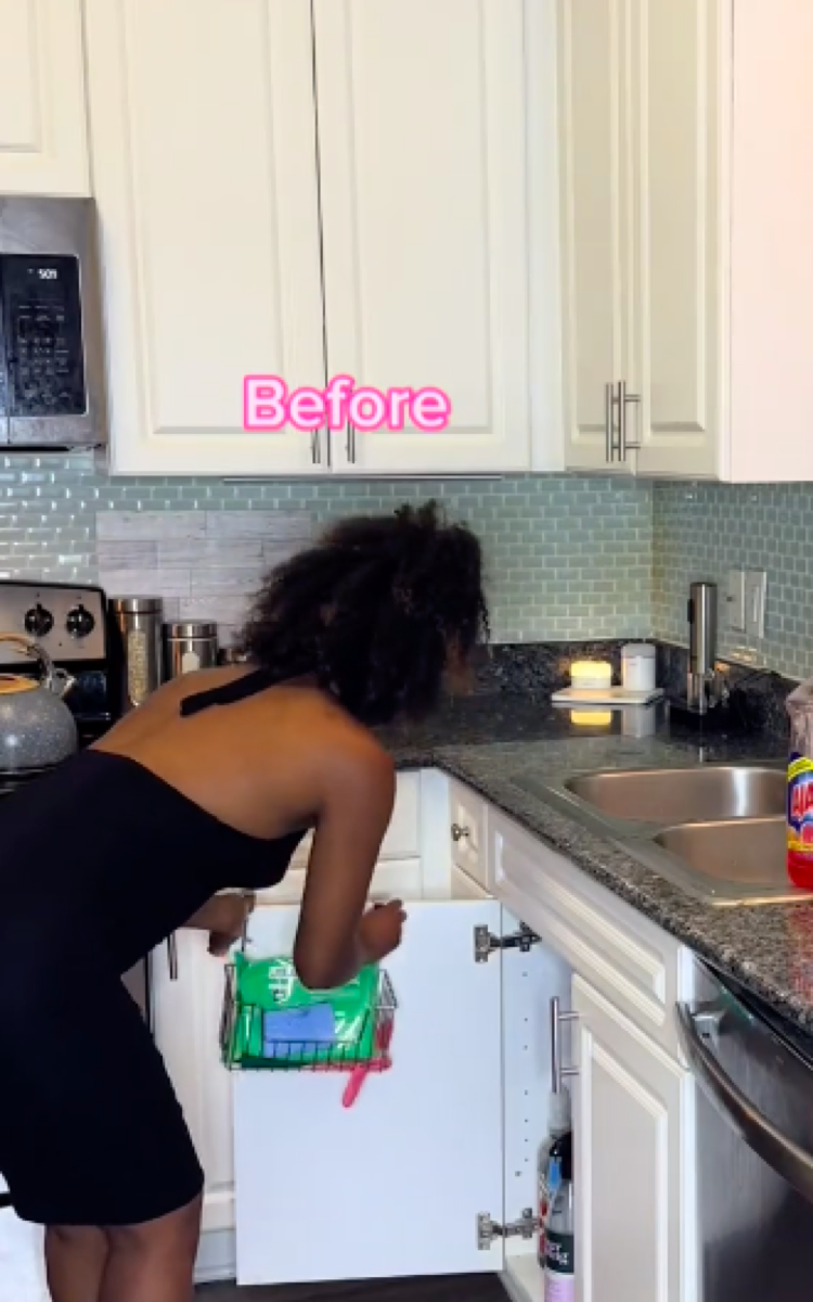 Dollar Tree kitchen renovation TikTok