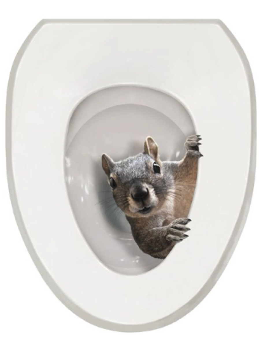 squirrel toilet lid tattoo cover