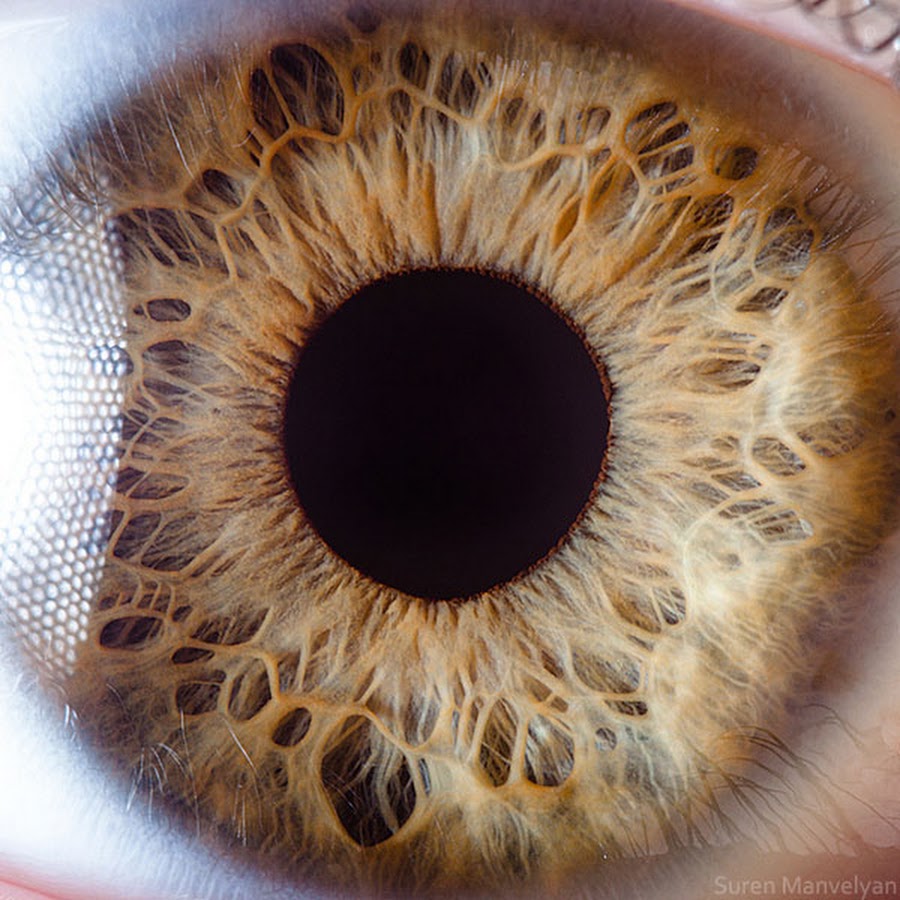 extreme-closeups-of-human-eyes-are-creepy-but-stunning-03