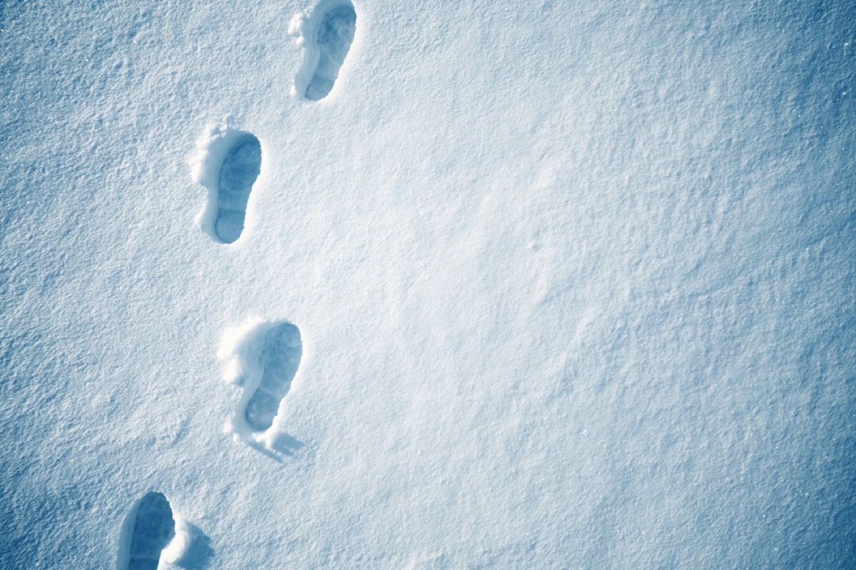 footprints in the snow