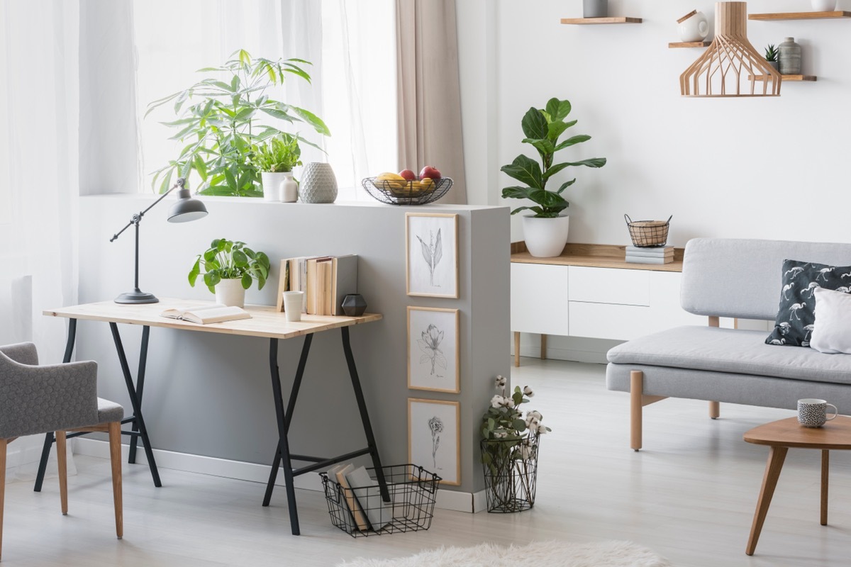 Real photo of bright living room interior with half-wall with posters and desk with books, fresh plants and window with curtains