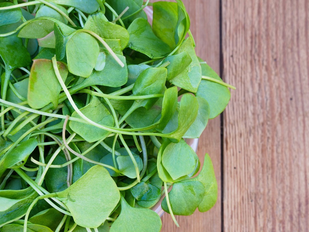 watercress on wood table