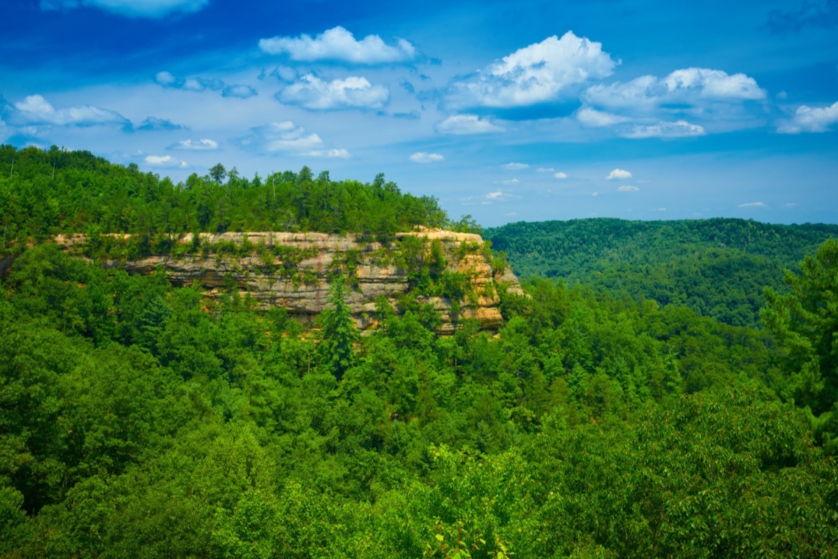 The Battleship Rock surrounded by trees at the Red River George Geological Area in Wolfe County, Kentucky